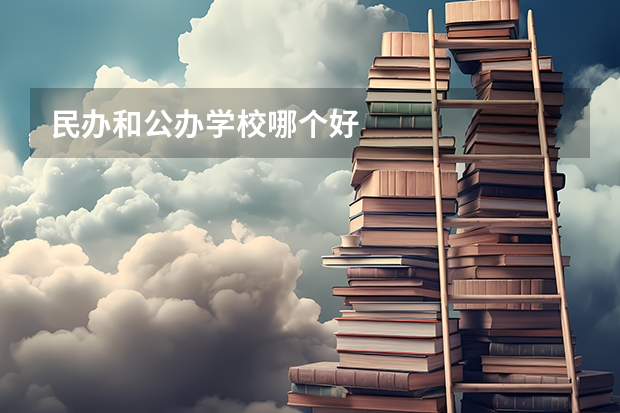 民办和公办学校哪个好