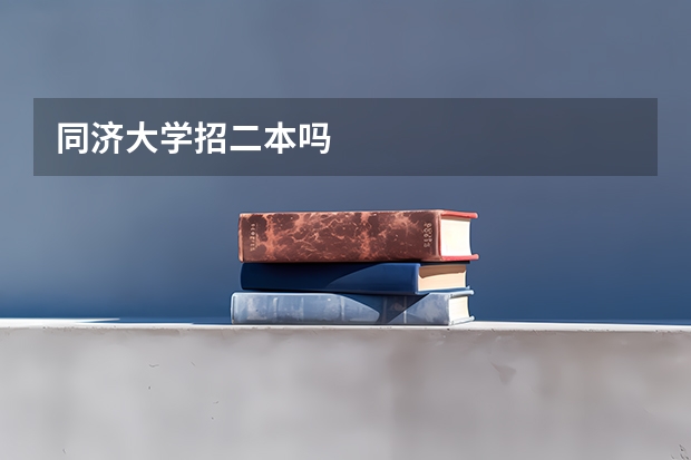同济大学招二本吗
