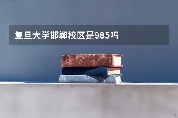 复旦大学邯郸校区是985吗