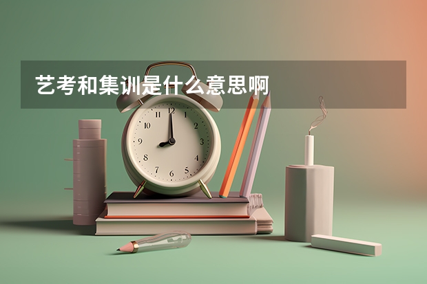 艺考和集训是什么意思啊