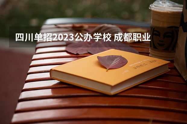 四川单招2023公办学校 成都职业技术学院单招录取线2023