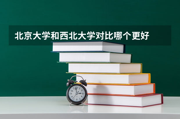 北京大学和西北大学对比哪个更好