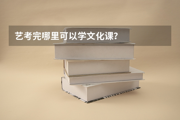 艺考完哪里可以学文化课？