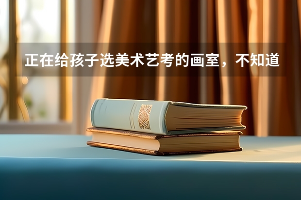 正在给孩子选美术艺考的画室，不知道哪个画室可以信赖？