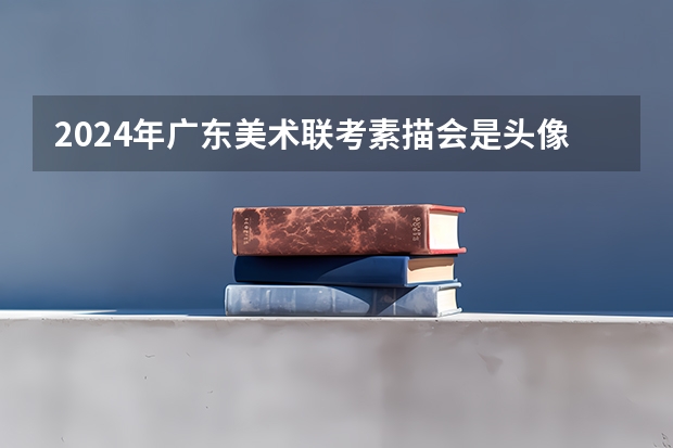 2024年广东美术联考素描会是头像还是静物（广东省艺考2024新政策）