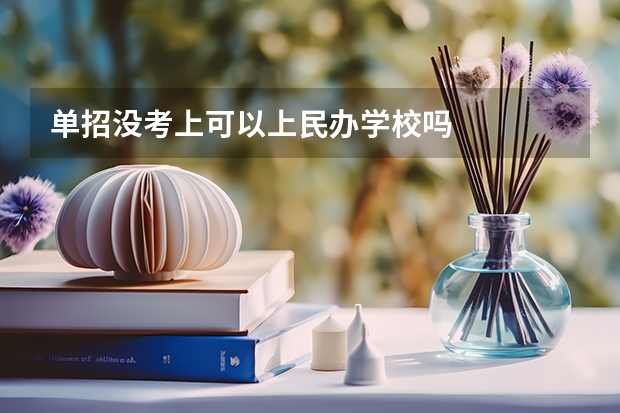 单招没考上可以上民办学校吗