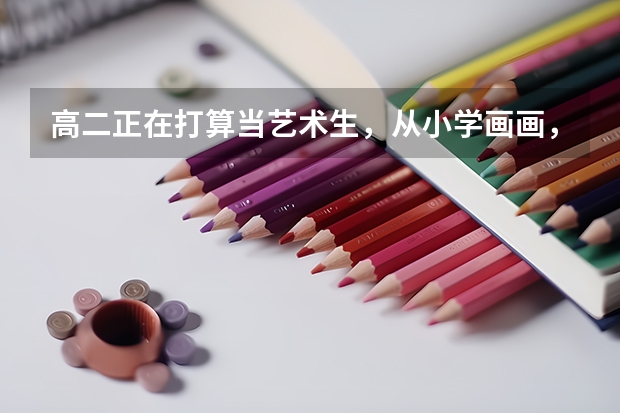 高二正在打算当艺术生，从小学画画，色彩速写一般，文化480，有希望考上央美吗？